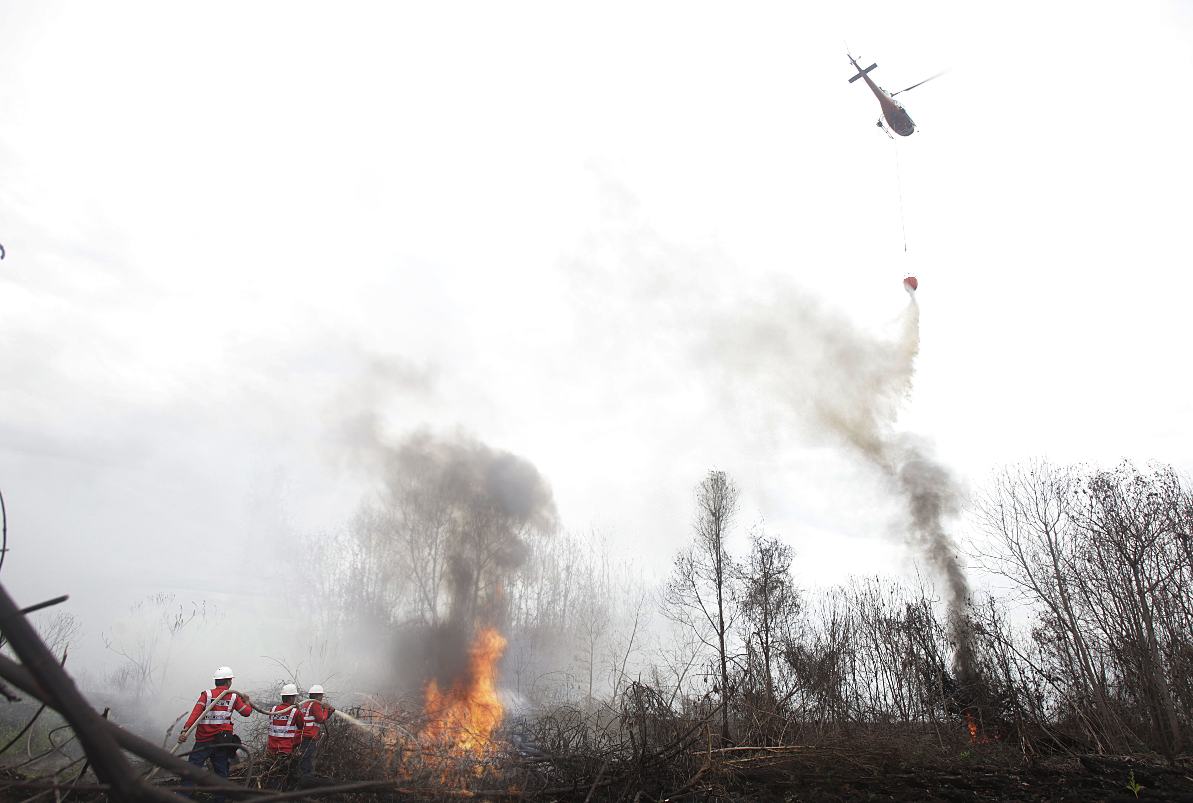 RAPP Firefighters