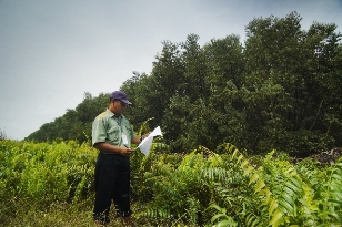 Forest Management