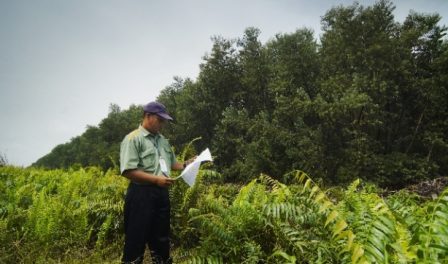 Forest Management