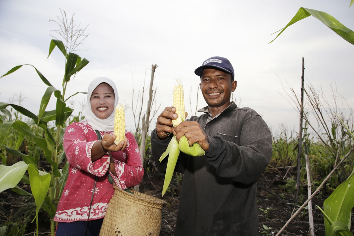 Farmers in Binjai, Meranti 