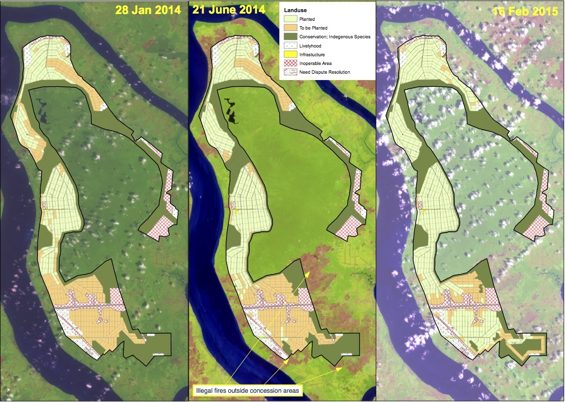 Pulau Padang Landsat Image