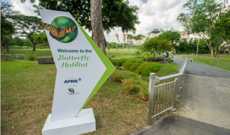 Bishan Ang Mo Kio Park - Butterfly Habitat