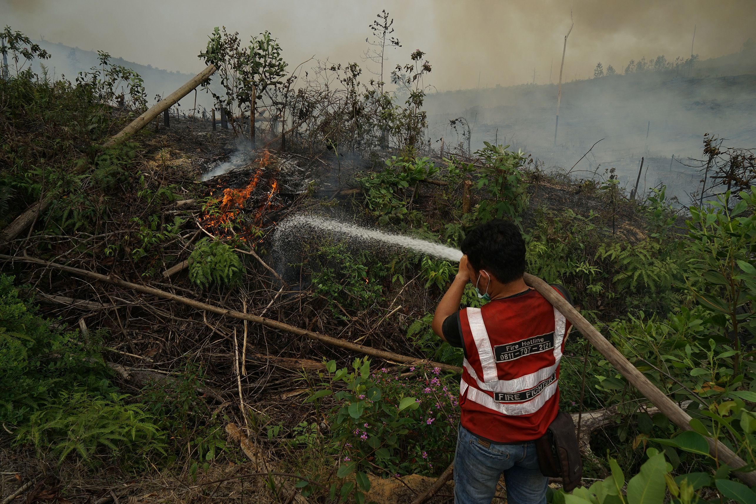 APRIL Fire Fighters extinguishing fire near forest plantation area 