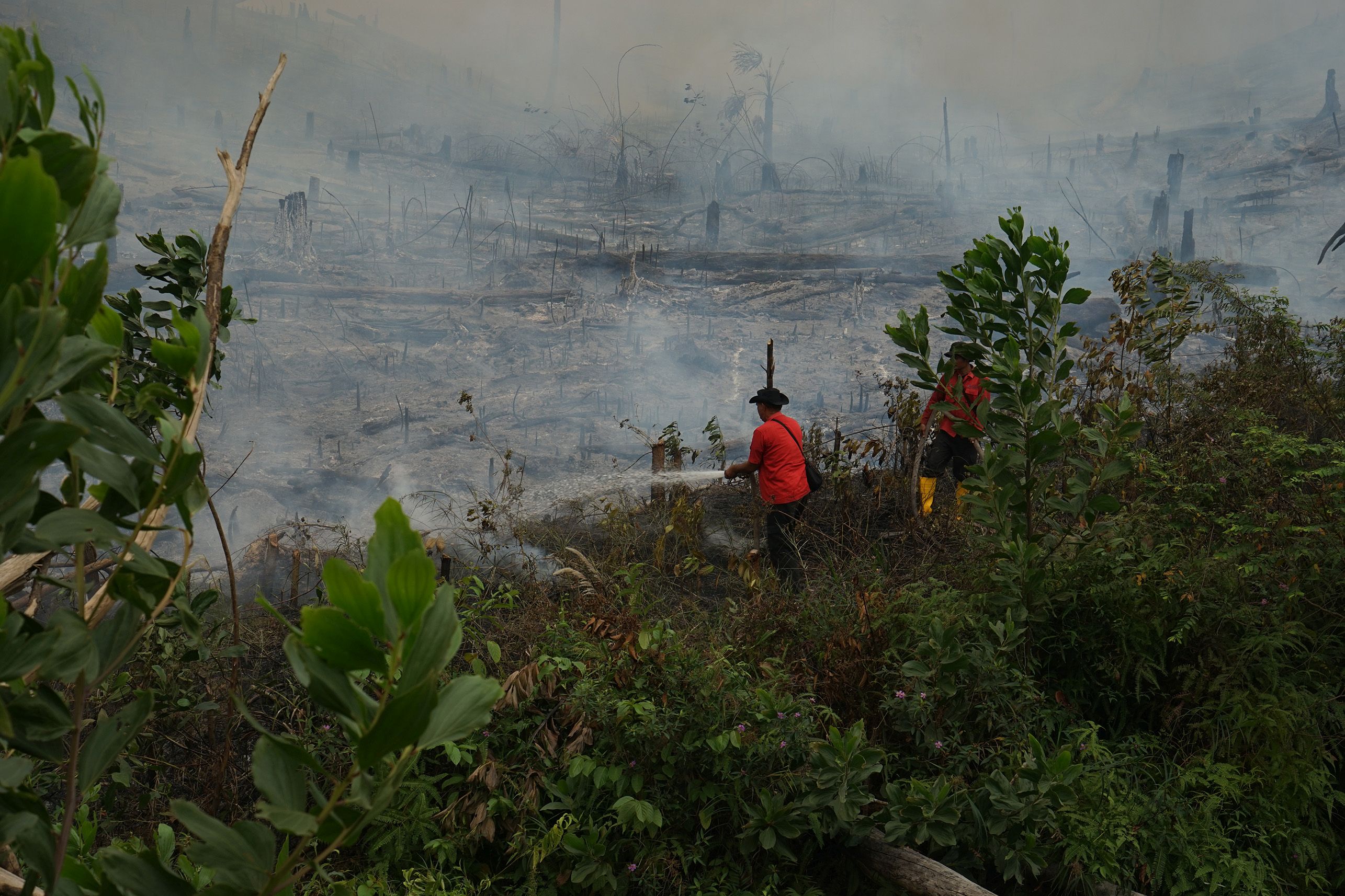 APRIL Fire Fighters battling fires near forest plantation area 