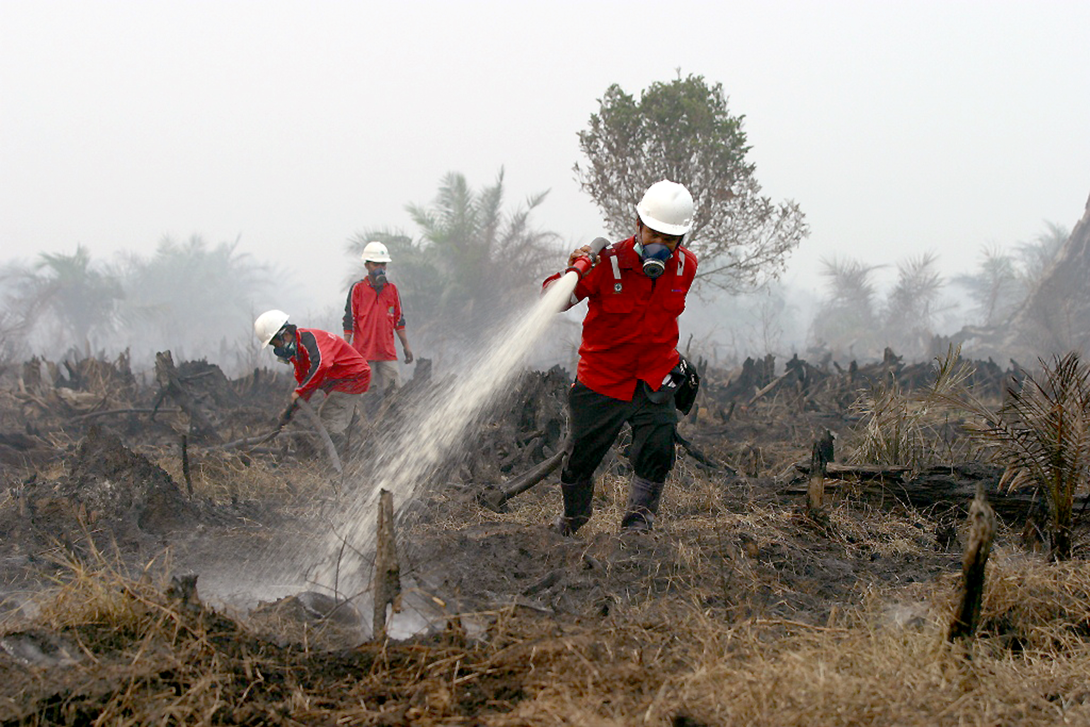 APRIL fire fighters battling fires near APRIL concession area