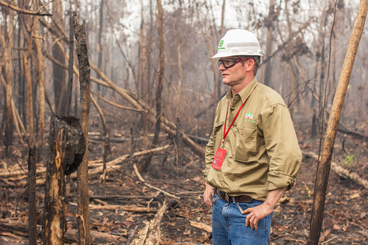 Robert Webb mengunjungi hutan yang terbakar di Taman Nasional Tesso Nilo 