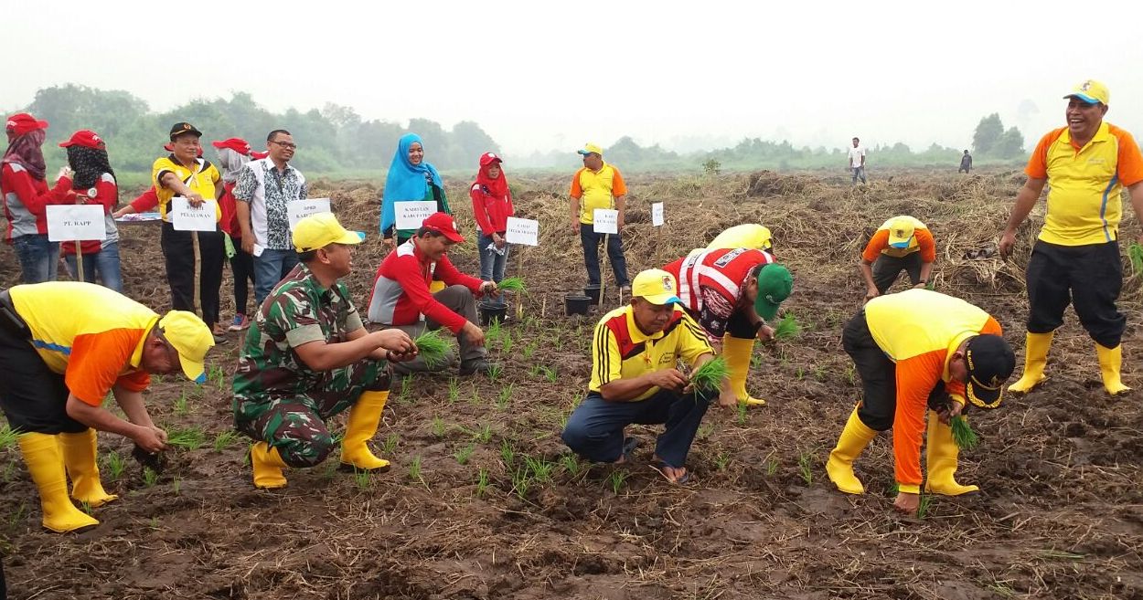 Villagers in the Fire Free Village Program (FFVP) planting agricultural assistance