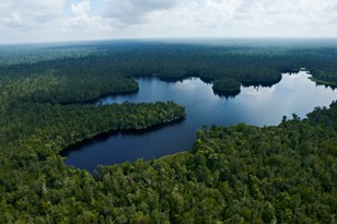 Restorasi Ekosistem Riau (RER) a collaboration initiated by APRIL Group in 2013 to protect peat forest in Kampar Peninsula. 