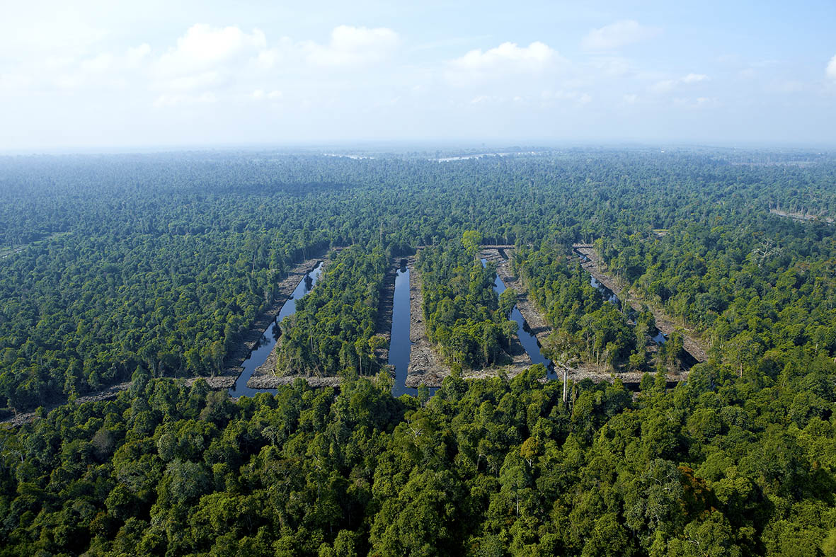 Water management