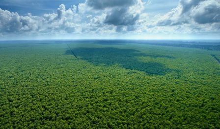 APRIL Plantation, Independent Peat Expert Working Group (IPEWG)