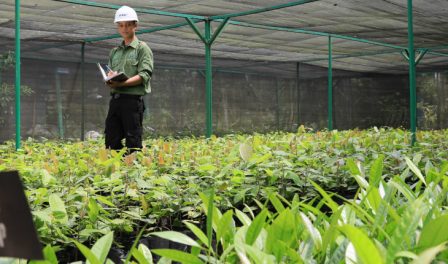 APRIL native tree nursery